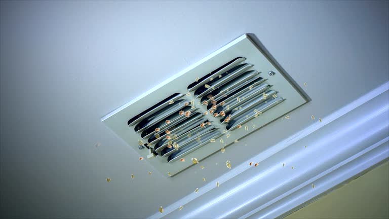Best Air Duct Cleaning Near Me  in Rye Brook, NY